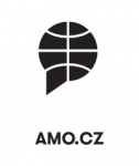 logo_amo_n